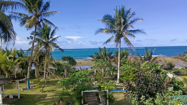A tropical garden with palm trees, a pathway, and a view of the ocean. - We are directly on the beach with 50 meters of frontage and beautiful sunsets (Bobon)