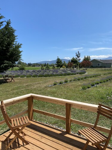 Your own Lavender farm in Sunny Sequim!