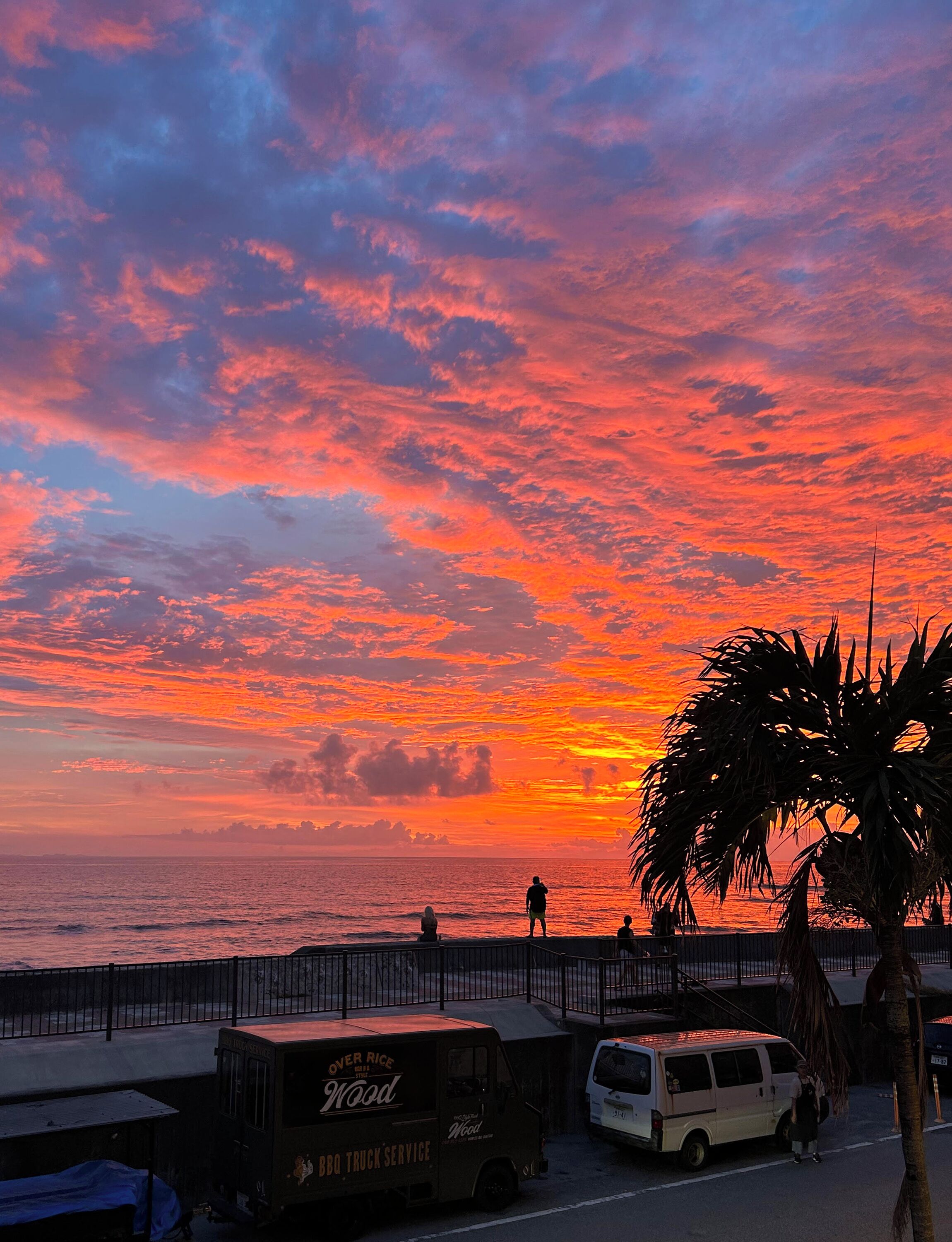 A sunset over the ocean with a palm tree and a BBQ truck service van parked on the side of the road.