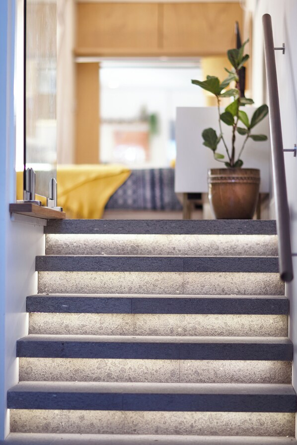 Interior - Beautifully appointed Bulli studio nestled between coast and escarpment (Bulli)