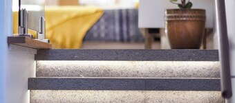 Beautifully appointed Bulli studio nestled between coast and escarpment