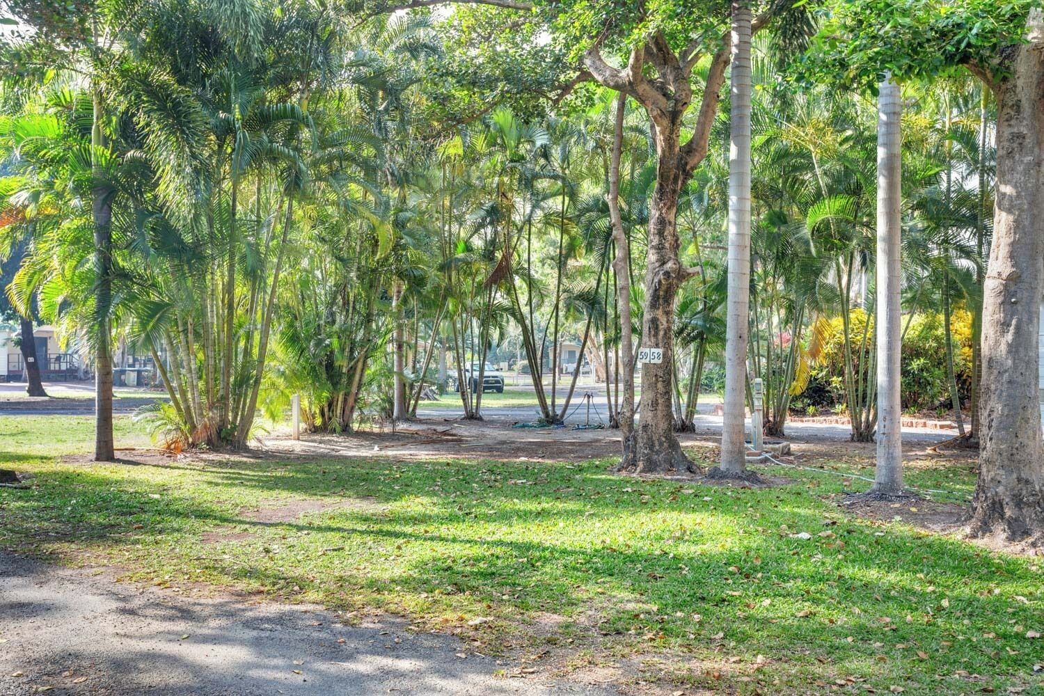 A park with a variety of trees, including palm trees, and a paved path.