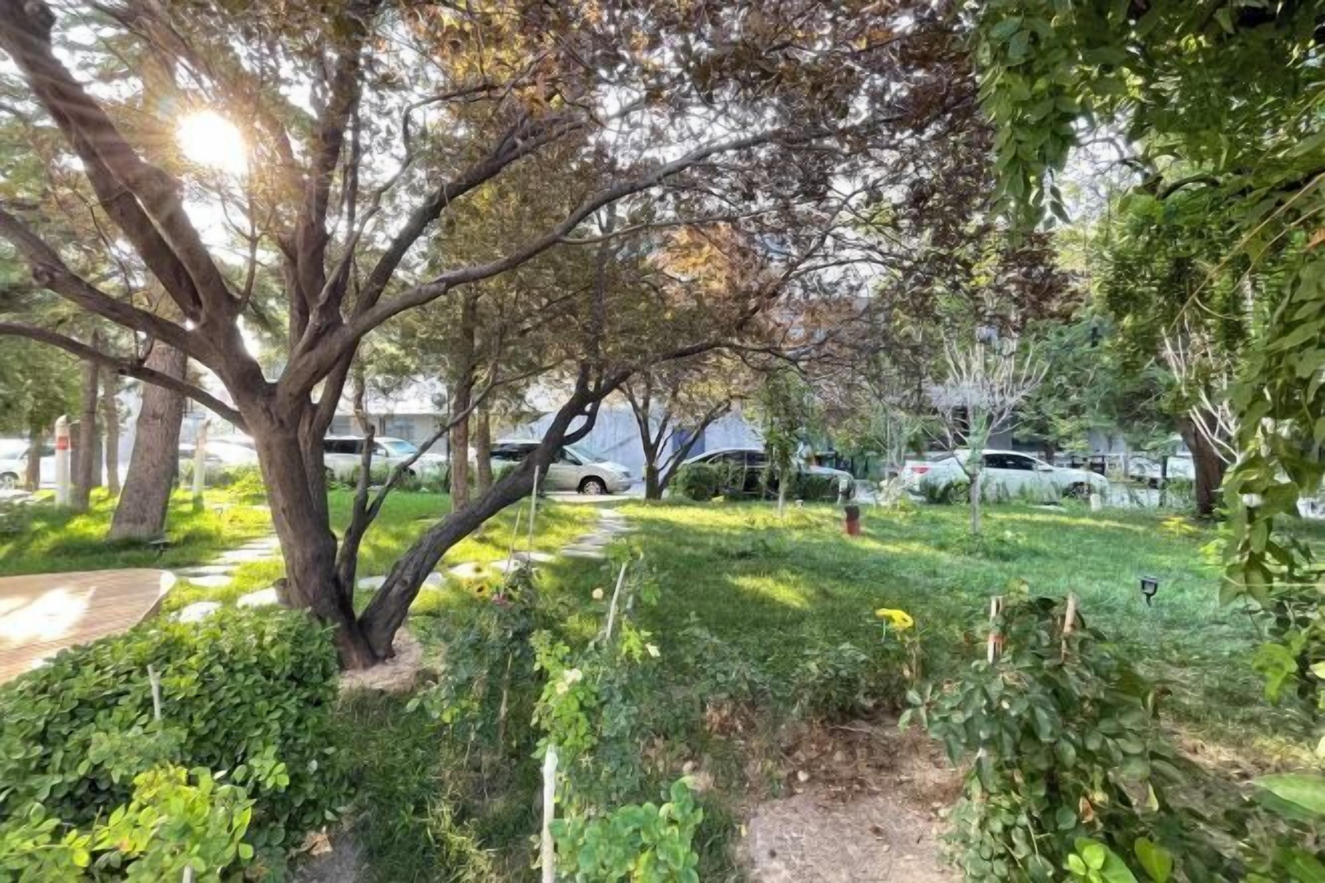 Un jardin avec un arbre, de l’herbe et un sentier.