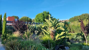 Huis, 3 slaapkamers, toegankelijk voor mindervaliden, balkon | Tuin