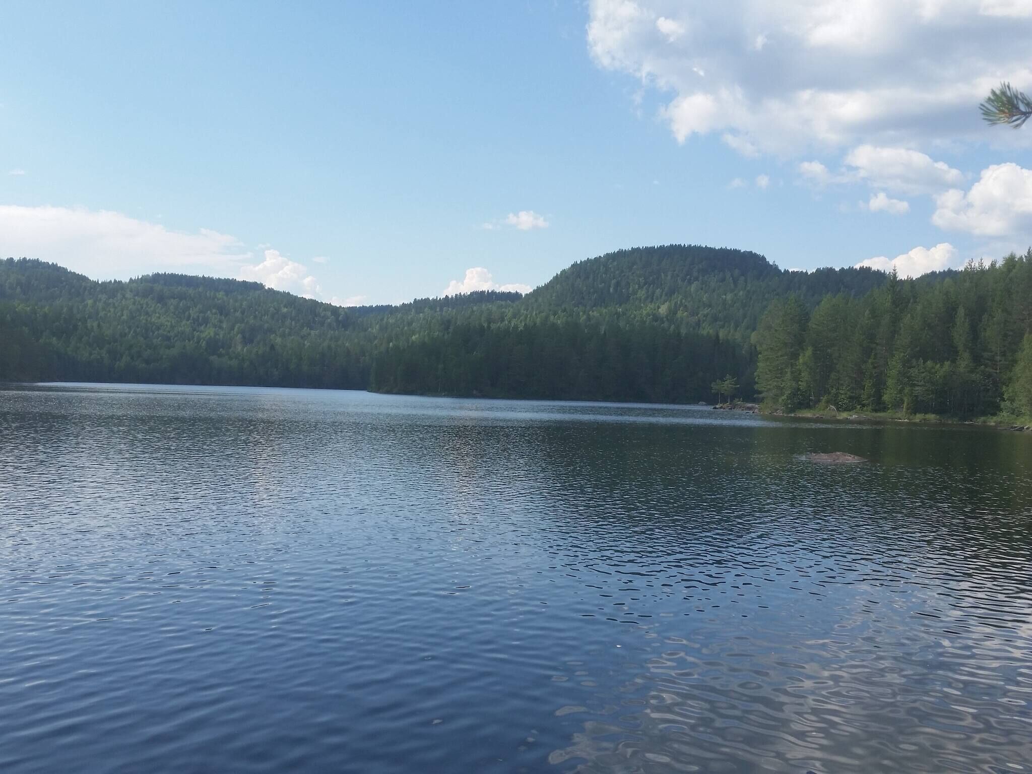 Eksteriør