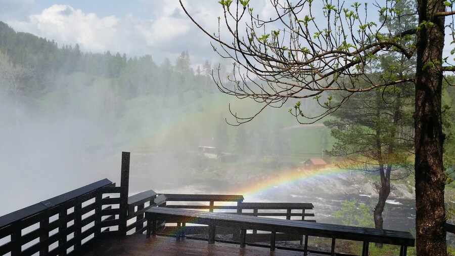 Cozy Loft Close to the Nature