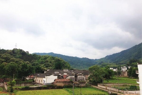 A rural village with traditional buildings and a green landscape.