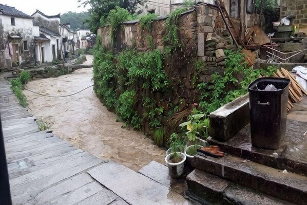 Un estrecho callejón con un muro de piedra cubierto de follaje, una escalera de madera y un contenedor de basura.