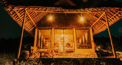 Soroi Cheetah Tented Camp