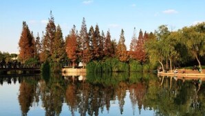 Un lago tranquilo con árboles reflejados en el agua, un muelle de madera y gente en la orilla.