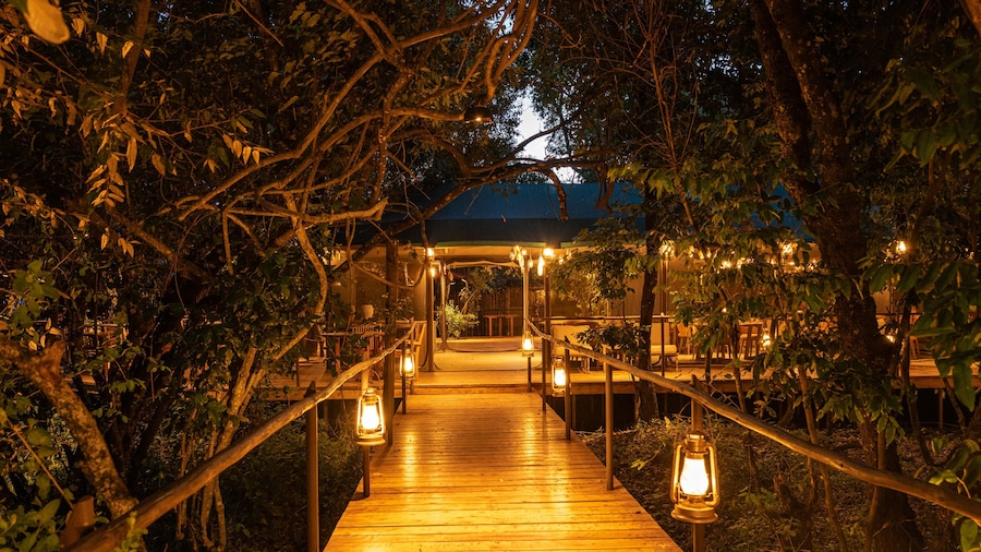 Soroi Luxury Migration Camp