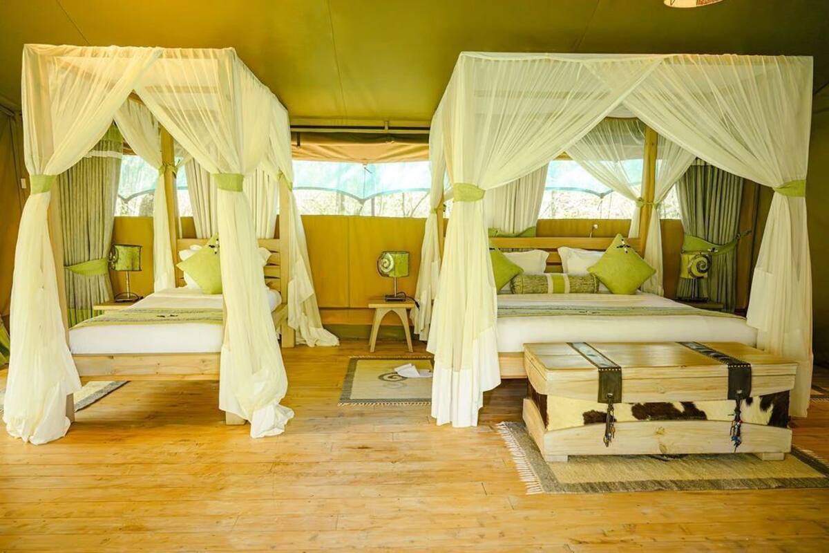 Quarto casal standard, vista para o parque | Frigobar, escrivaninha, Wi-Fi de cortesia, roupa de cama