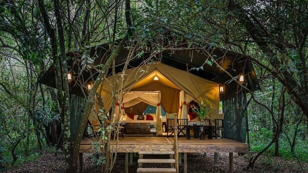 Une zone boisée abritant une grande structure en forme de tente, dotée d’une terrasse en bois et d’un escalier menant à son entrée.