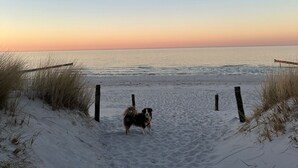 A beach scene with a dog standing on the sand, a wooden fence, and a clear sky. - Lieblingshof House 4 - Holidays between the Baltic Sea and the Bodden (Born a. Darß)