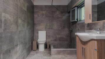 Secador de pelo, toallas, jabón y papel higiénico