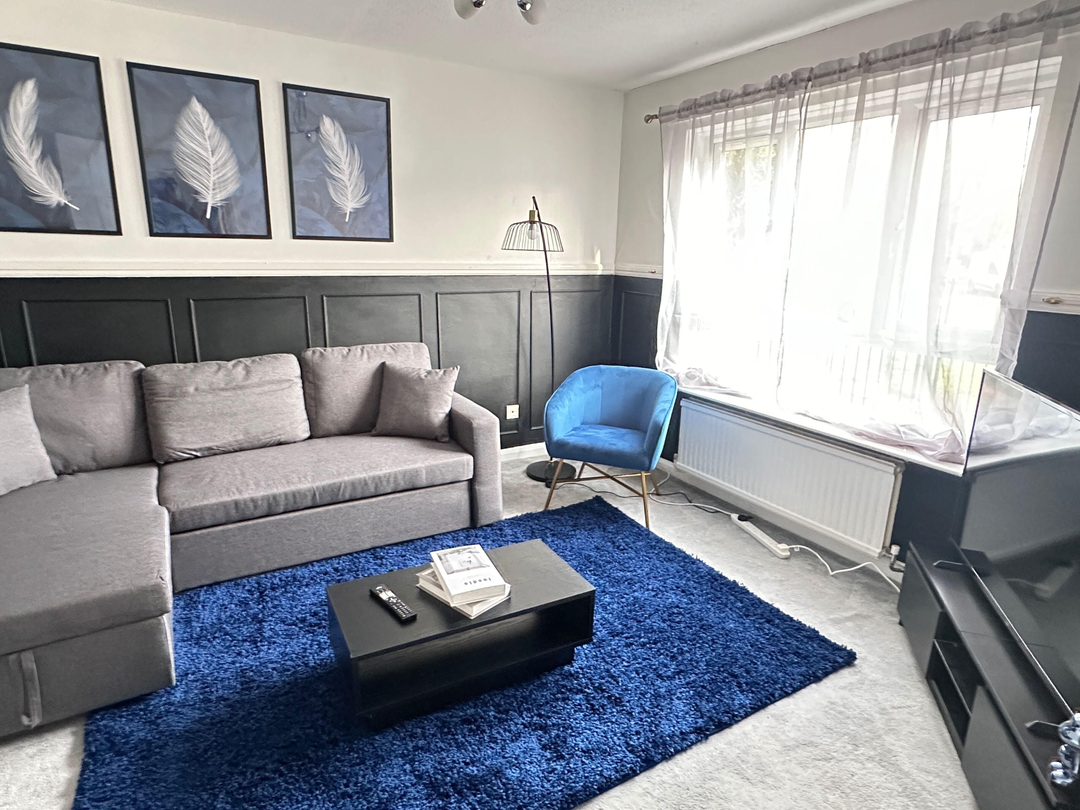 A modern living room with a grey sofa, a blue armchair, and a black coffee table. There are three framed feather artworks on the wall, and a radiator is visible near the window.