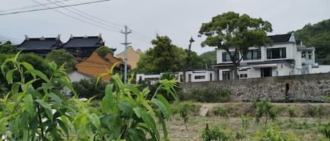 A residential area with traditional and modern houses, a stone wall, and power lines.