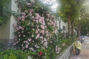 Unclassified image, 2 of 26, button - Taohua Island Taoyuanli Homestay (Zhoushan)