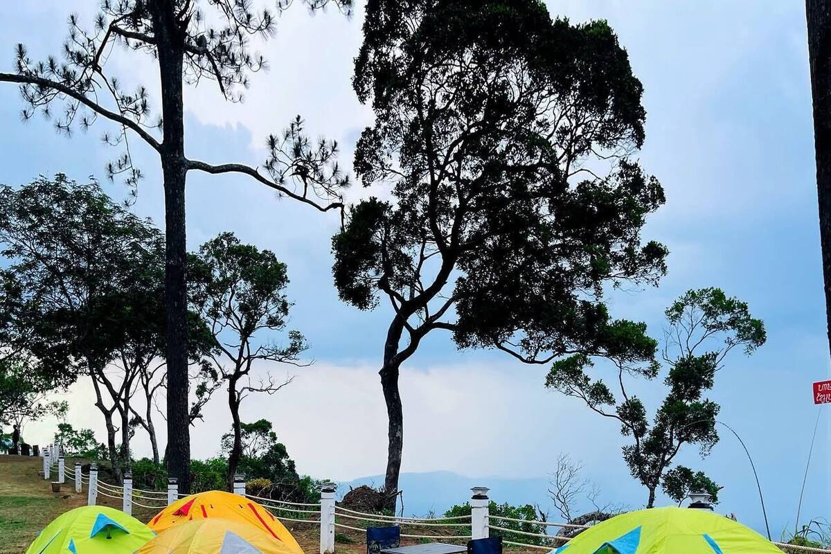 Family Camping Tent | Wi-Fi ฟรี, ตกแต่งพิเศษโดยเฉพาะ, ผ้าปูที่นอน