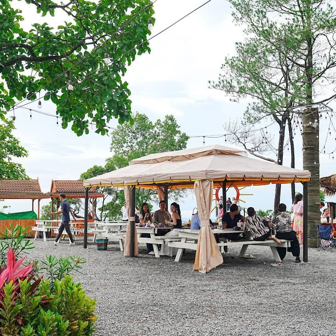 An outdoor seating area with tables and umbrellas, surrounded by trees and a view of the ocean.
