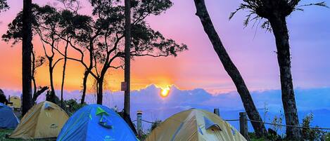 A campsite with several tents set up on grass, surrounded by trees and a sunset in the background.
