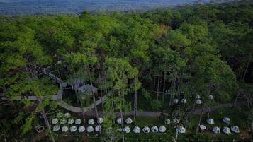 An aerial view of a forested area with multiple geodesic dome structures arranged in rows, surrounded by dense trees and a clear sky.