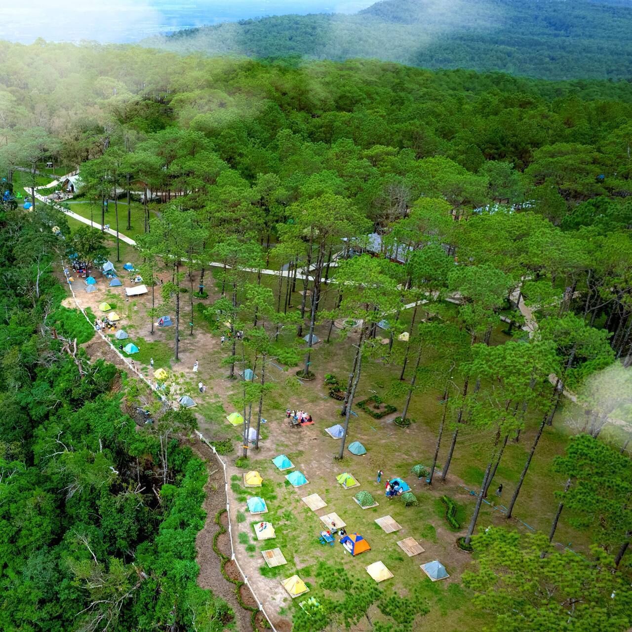 An aerial view of a campsite with tents and trees.
