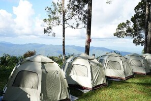 Camping Tent | Näkymä huoneesta