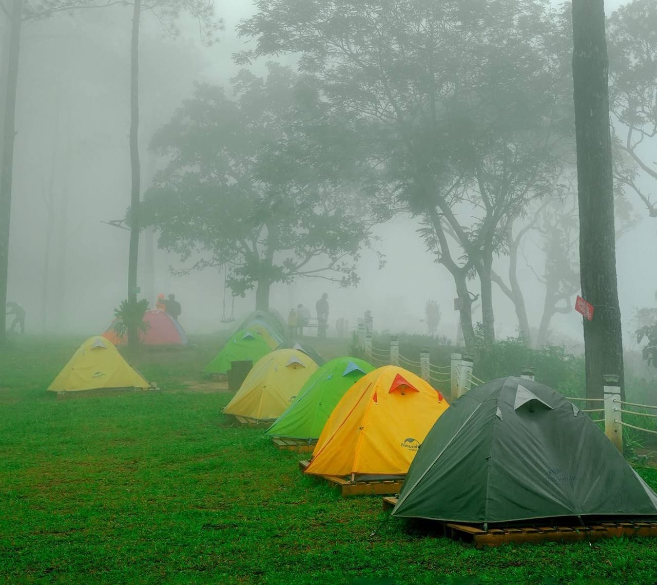A camping park with multiple tents set up on a grassy field.