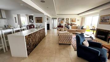 Smart TV, fireplace, books