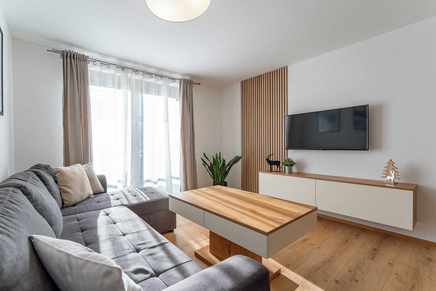 A modern living room with a grey sofa, a wooden coffee table, a flat-screen TV mounted on a wooden panel, and a small plant on the sideboard.