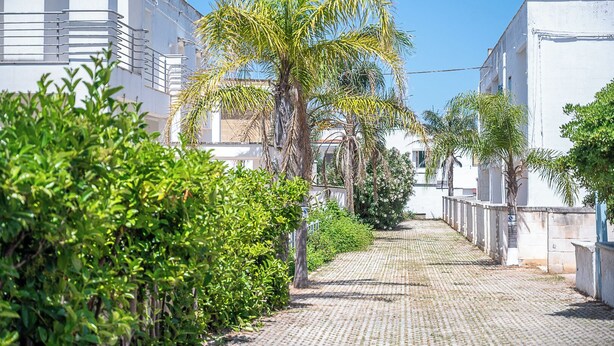 A narrow, paved pathway flanked by lush greenery and white buildings with balconies. - Residence degli Oleandri (Villanova)