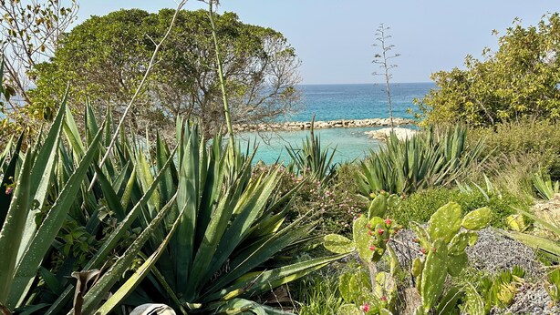 A coastal garden with various plants and a view of the sea. - Luxury 4 bdr Villa Nerida (Chlorakas)