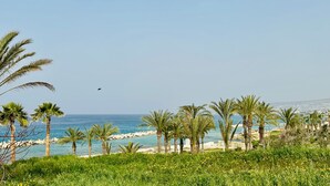 A coastal landscape with palm trees, a clear sky, and a distant view of the sea. - Luxury 4 bdr Villa Nerida (Chlorakas)
