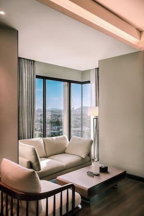 Suite Deluxe, 1 letto matrimoniale, vista città | Area soggiorno | Giocattoli