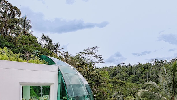 A modern house with a glass conservatory, a swimming pool, and lush tropical vegetation. - Novotel Bali Ubud Resort (Payangan)
