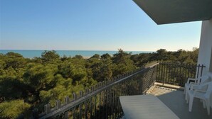 Ein Balkon mit Blick auf das Meer und üppige Vegetation.