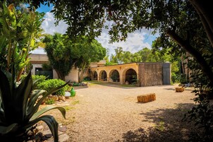 A courtyard with a stone bridge, surrounded by greenery and a building with arches.