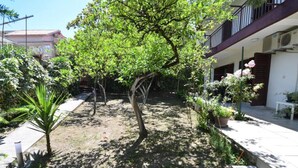 A courtyard with a central tree, surrounded by potted plants and a building with a balcony. - Cozy Igalo Retreat Ideal for Families (Igalo)