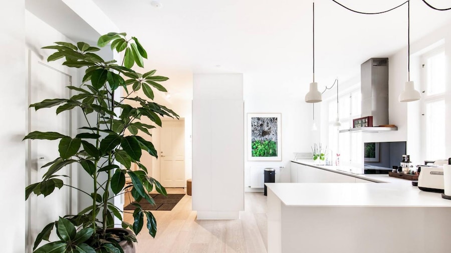 Dinesen Collection Condo by Royal Theatre