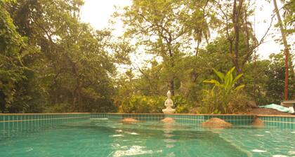Our Jungle Rock House. A unique 2 bedroom pool villa built amongst granite rocks