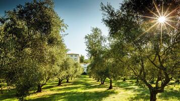 Terrein van de accommodatie