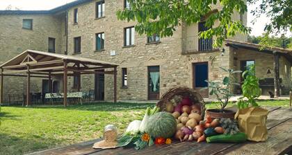 Farmhouse in the green Apennines, specializing in 'hospitality groups