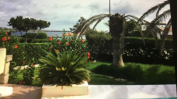 Een tuin met een zwembad, palmbomen en uitzicht op zee.