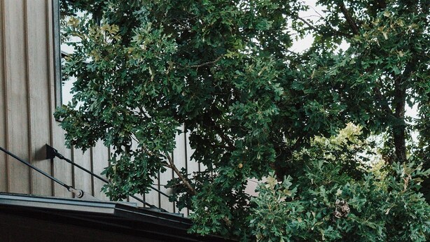 Un bâtiment doté d’une grande fenêtre en verre, d’une clôture en bois et d’un arbre devant.