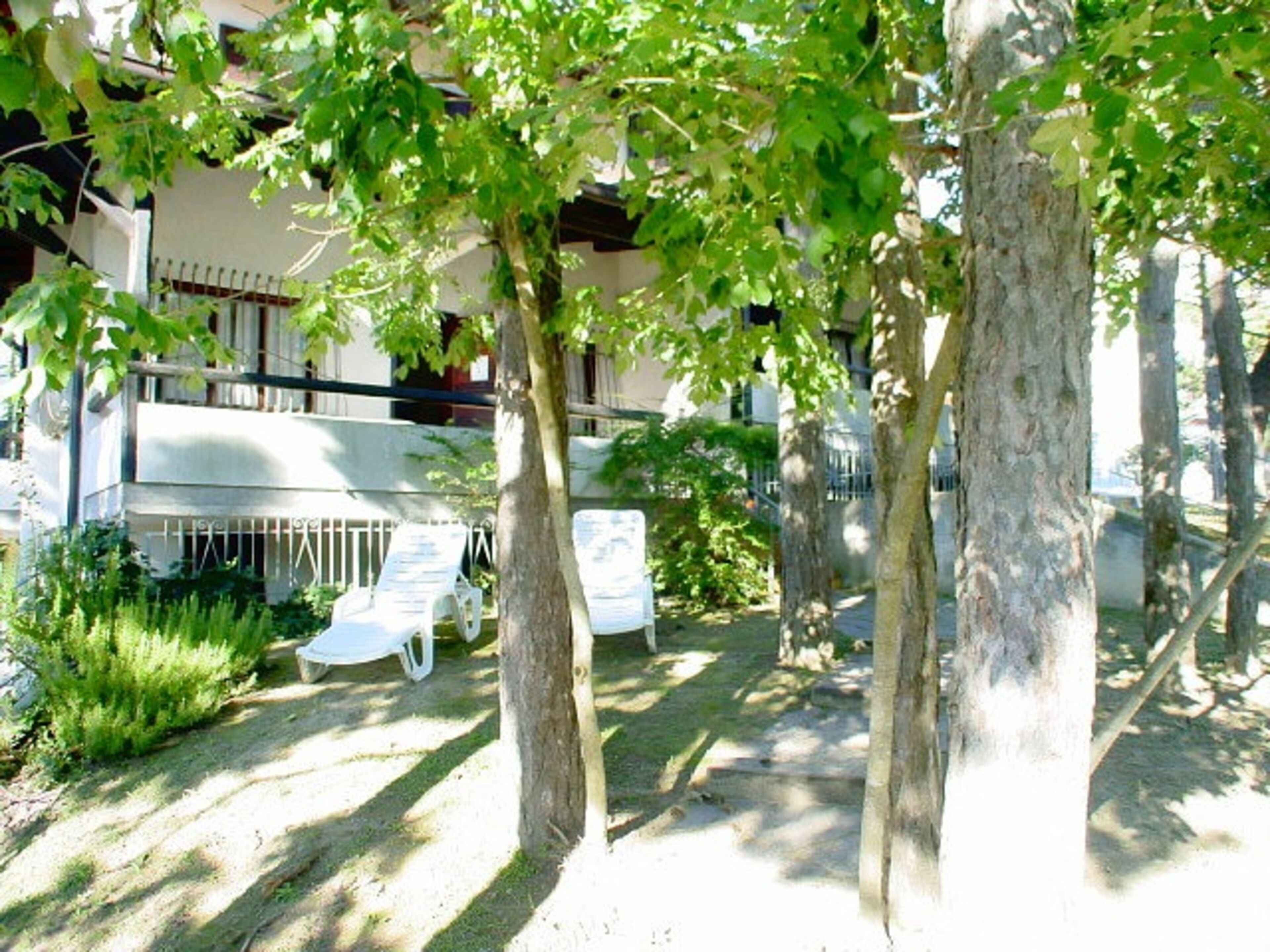 Jardín