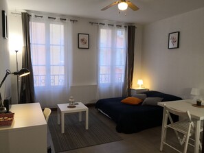 1 bedroom, iron/ironing board, free WiFi, bed sheets - Studio in the middle of Grenoble city center (Grenoble)