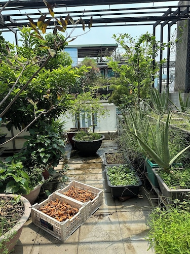 Spacious and peaceful homestay | New Room | Easy Access to Airport & Downtown