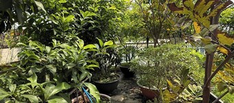Spacious and peaceful homestay | New Room | Easy Access to Airport & Downtown