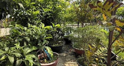 Spacious and peaceful homestay | New Room | Easy Access to Airport & Downtown